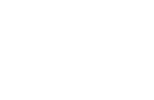 Agile Neuro Academy Logo